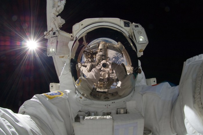 Star trek selfie captured in space