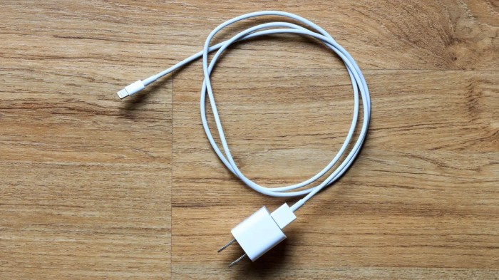 Teen electrocuted frayed iphone charging cable