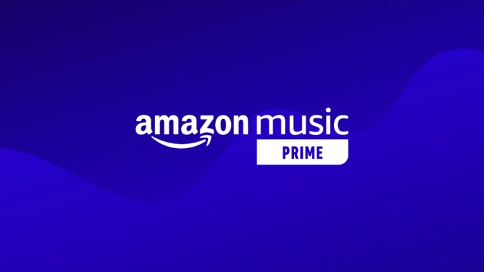 Amazon prime music stations now on android