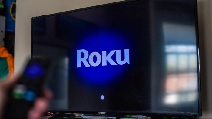 Roku second user accounts hacked