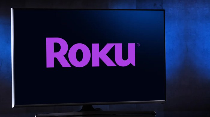 Roku disables tvs and streaming devices until users consent to forced arbitration