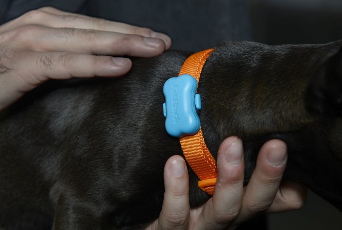 Fitbark tracker for dogs gets slight hardware upgrade