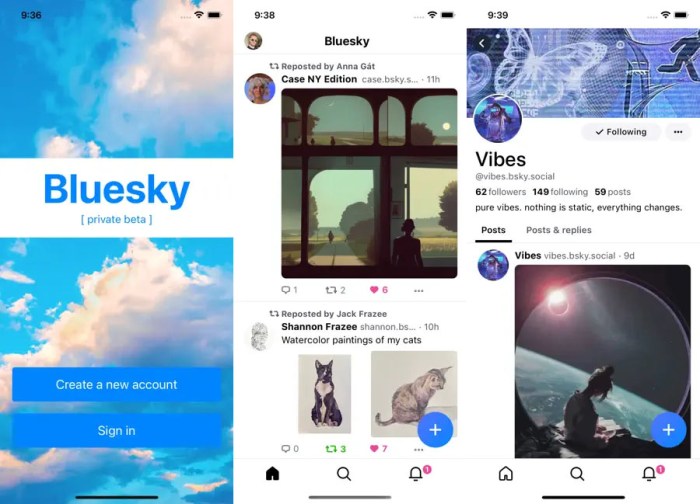 Bluesky is funding developer projects to give its twitter x alternative a boost