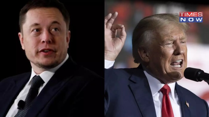 Elon musk and donald trumps x spaces crashes