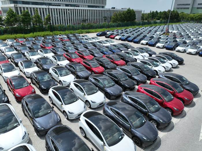 Tesla autopilot removed in china