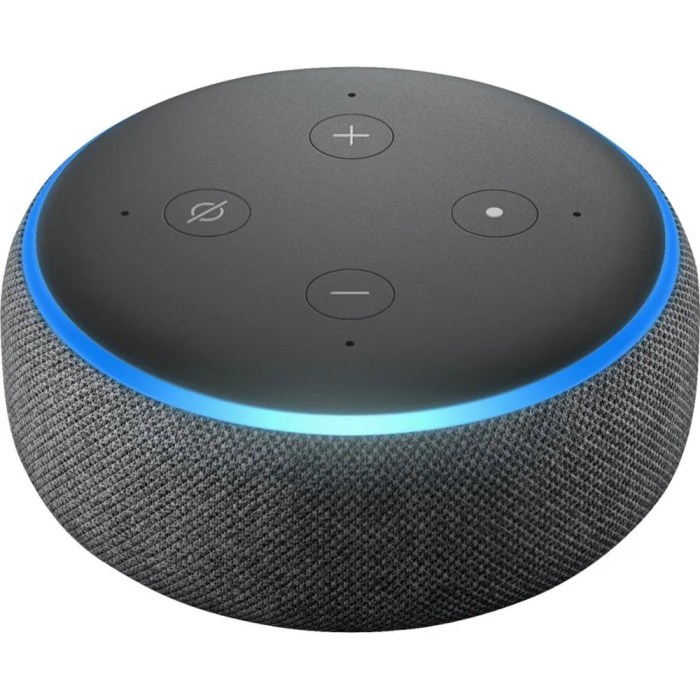 Echo dot best selling amazon holiday season