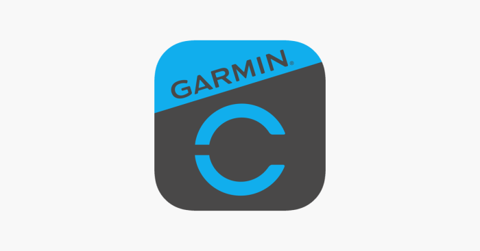 Garmin hud with new companion app