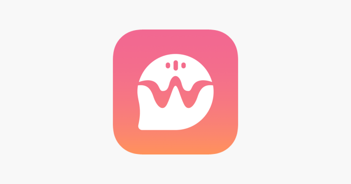 Whispp voice app