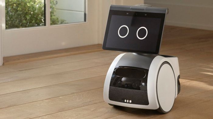 Amazon brings its home robot to businesses