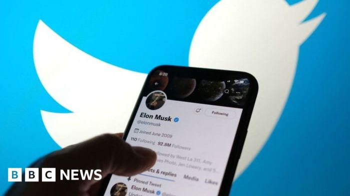 Elon musk x twitter calling privacy switch off