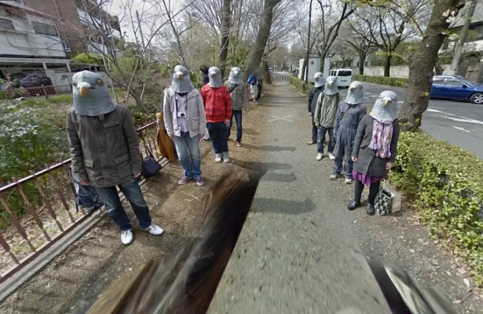 Google reveals special street view images