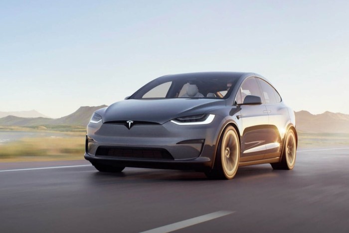 Tesla model x saved owners life