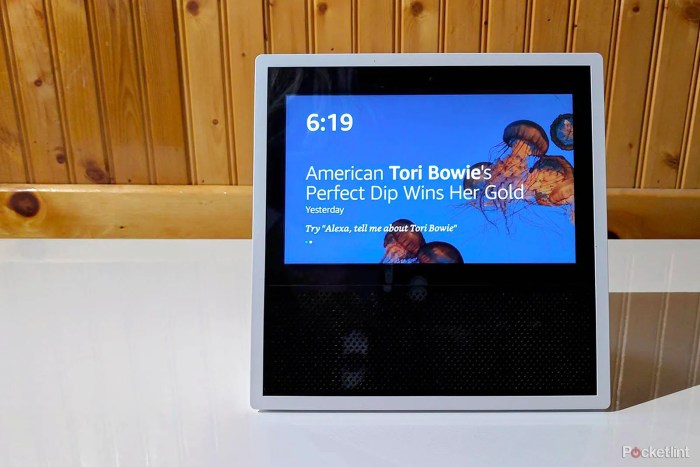 Facebooks echo show rival may cost 499