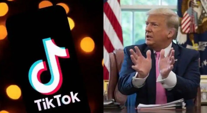 Tiktok ban senate