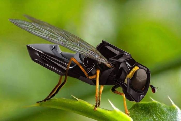 Drone lands on walls like insects