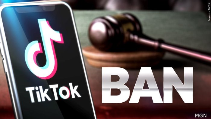 House passes tiktok ban again