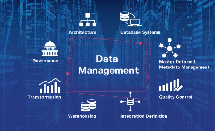 India national data management office