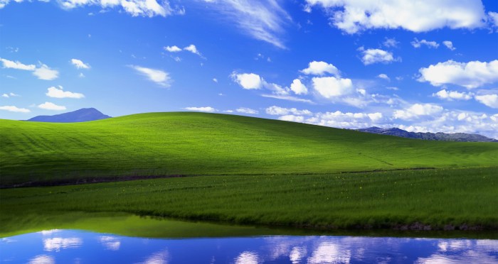 Windows xp wallpaper photographer wishes negotiating a better deal with microsoft