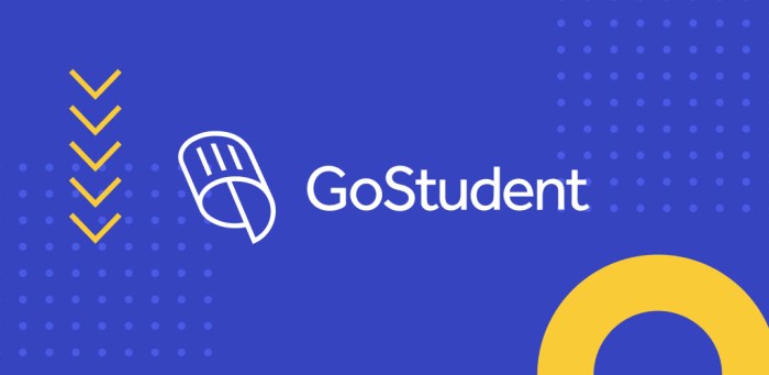 Gostudent tutoring profitability