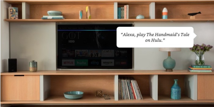 Alexa control hulu cbs playstation vue on fire tv now