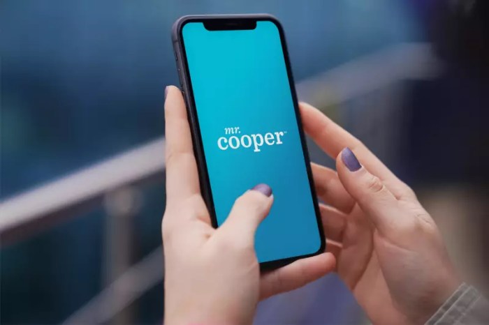 Mr cooper hackers cyberattack