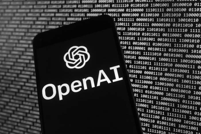 Openai wants to work with organizations to build new ai training data sets