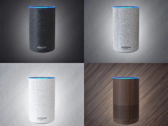 One in six americans smart speaker