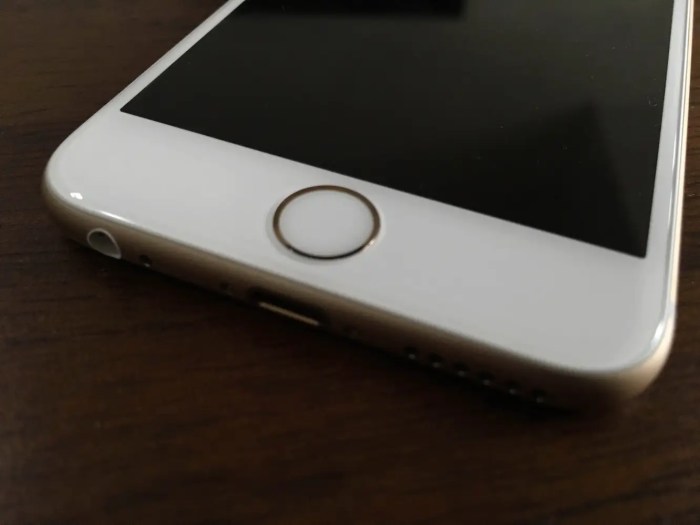 2017 iphone virtual button built into screen