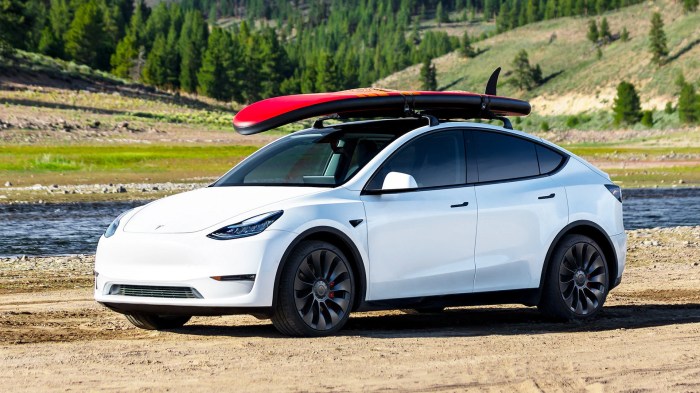 Tesla model y will be next release