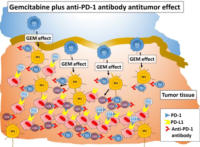 Protein capable of converting pancreatic cancer cells to healthy ones