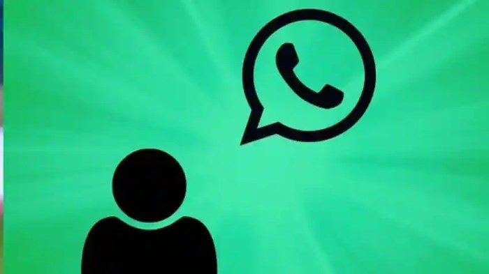 Whatsapps voice calling functionality screenshots leaked