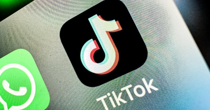 Tiktok disputes claims of anti israel bias amid calls to ban the app palestine