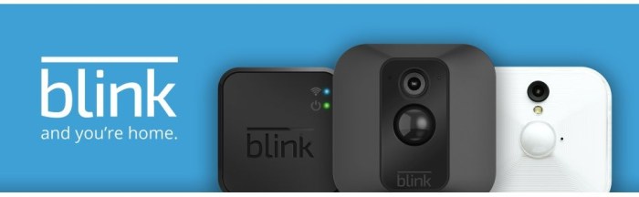 Amazon acquires blink