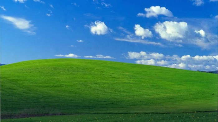 Windows xp wallpaper photographer wishes negotiating a better deal with microsoft