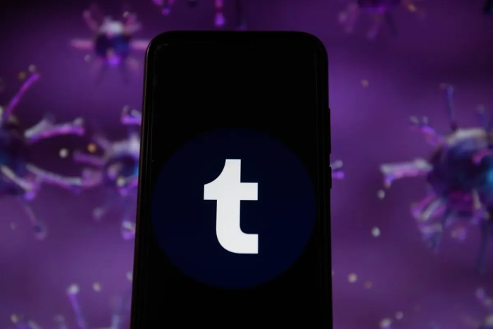 Tumblr launches its semi private communities in open beta