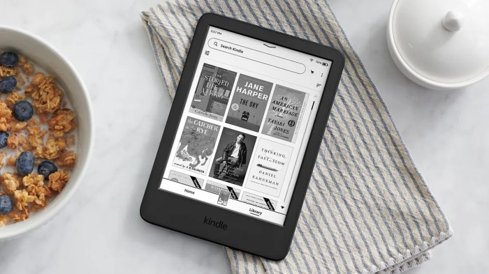 Amazons cheapest kindle audible support