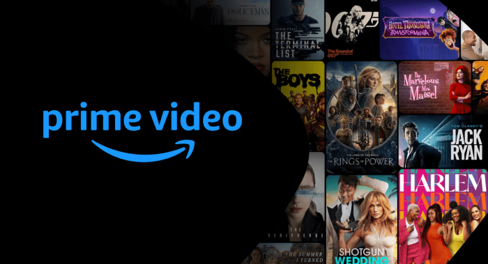 Amazon reportedly drops plans tv service