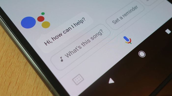 Google online store focus google assistant