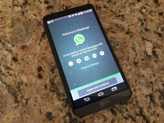 Whatsapps voice calling functionality screenshots leaked