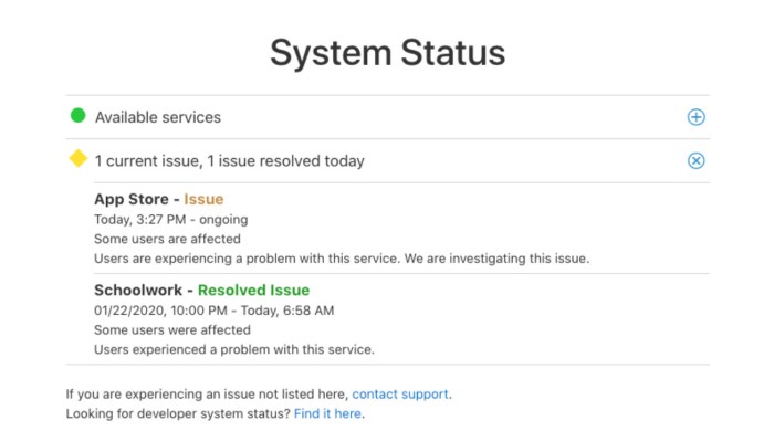 Itunes and app store hit with another outage