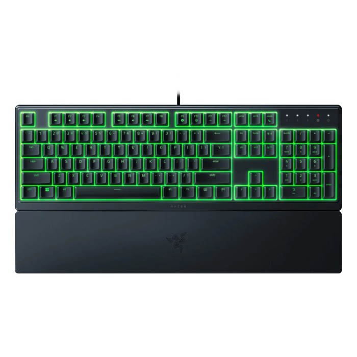 Razer ornata gaming keyboard