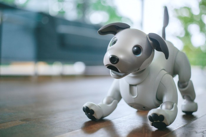 Sony aibo available pre order japan