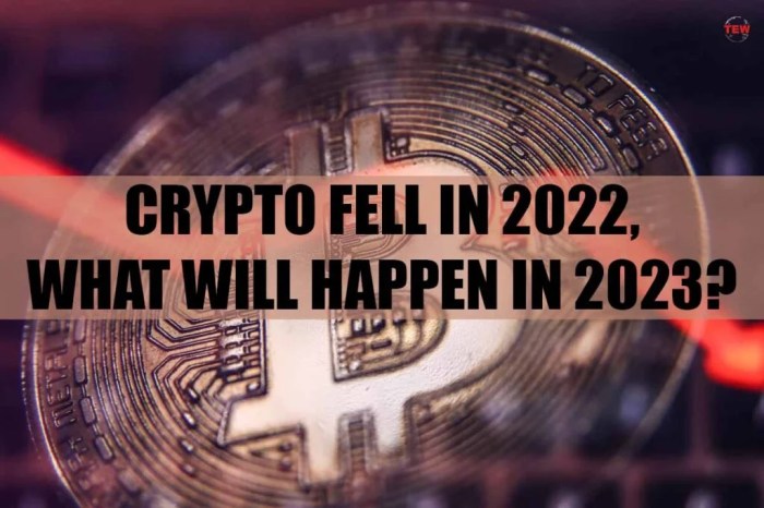 Crypto losses declined 50 percent 2023