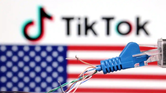 Senate passes a bill forcing tiktok to face a ban if bytedance doesnt sell it