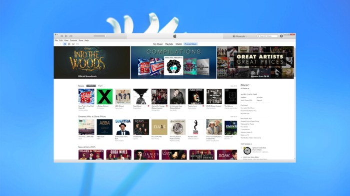 Apple denies phasing out itunes music downloads