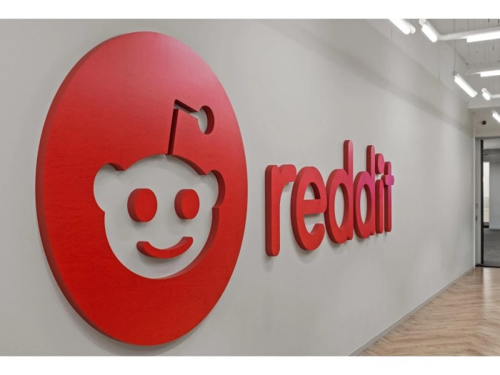 Reddit downplays risks of developer backlash decentralized social media in its ipo filing