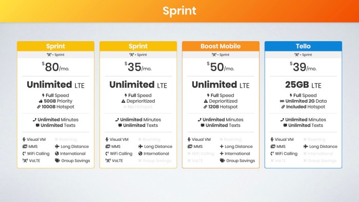 Sprint launches unlimited data plan as well