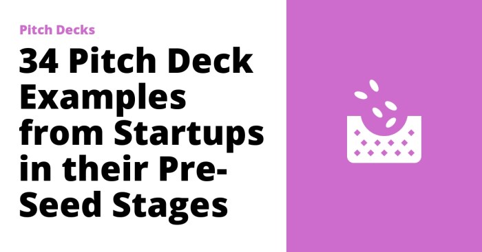 Sample pre seed pitch deck geodesic life