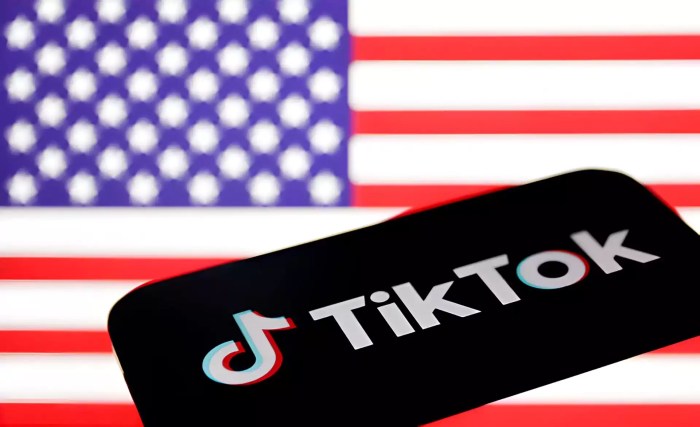 Hoping to stall a ban tiktok says it generated 14 7b for us small businesses last year