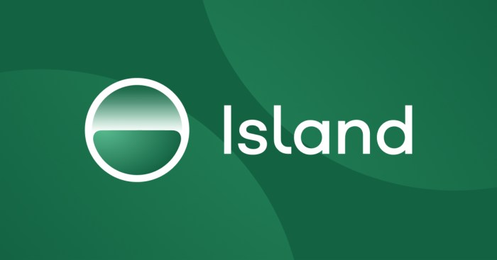 Island secure enterprise browser lands 175m 3b valuation